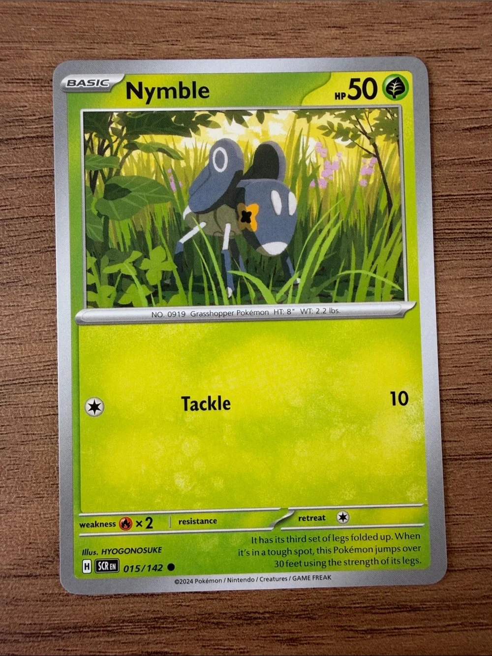 🕷️ Spider & Bug Pokémon Card Lot | Joltik Galvantula Ariados Spinarak ✨5/$25✨